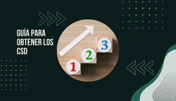 Guía para Obtener el Certificado de Sello Digital (CSD)